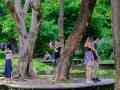 大東濕地公園 大東濕地公園