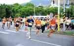 慢跑健行活動 慢跑健行活動