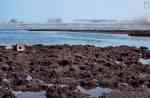 295coal.05 295coal.05