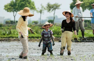 田間體驗