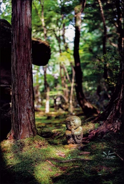 京都寺廟庭院